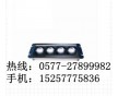 海洋王NFC9121LED頂燈廠家 LED頂燈商機(jī)